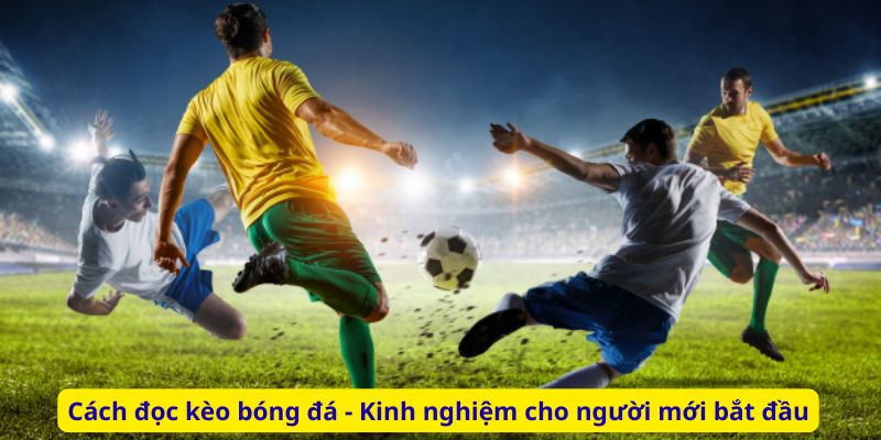 Cách đọc kèo bóng đá - Kinh nghiệm cho người mới bắt đầu